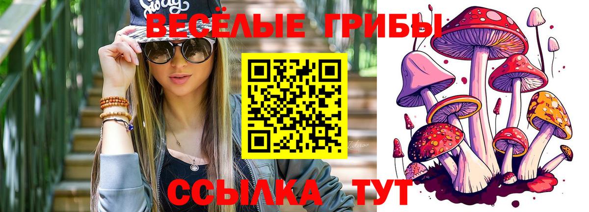 Псилоцибиновые грибы мицелий Красноуфимск